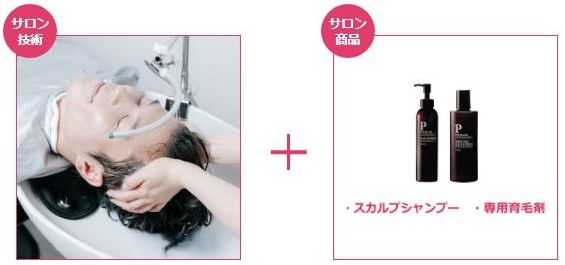 バイオテックの育毛プラン（エコノミープラン）