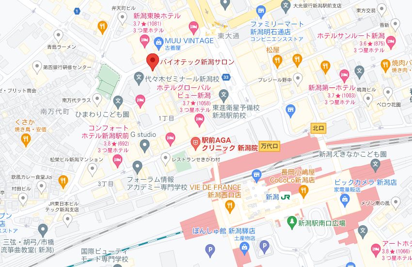 バイオテック新潟サロンの周辺地図