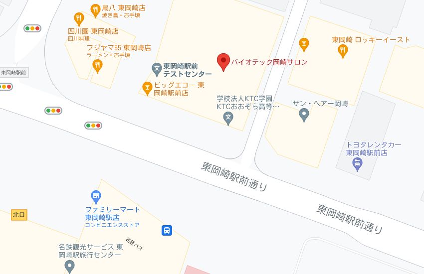バイオテック岡崎サロンの周辺地図